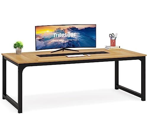 Modern Computer Desk for Home Office